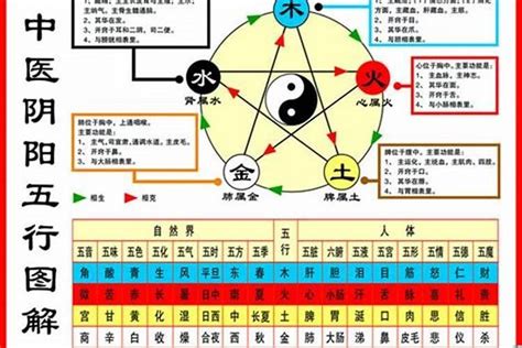 1984生肖五行|【1984年五行】揭曉！1984年五行屬什麼？鼠年的你五行命運大。